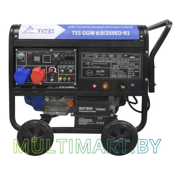Бензиновый генератор ТСС GGW 6.0/250ED-R3 (26495)